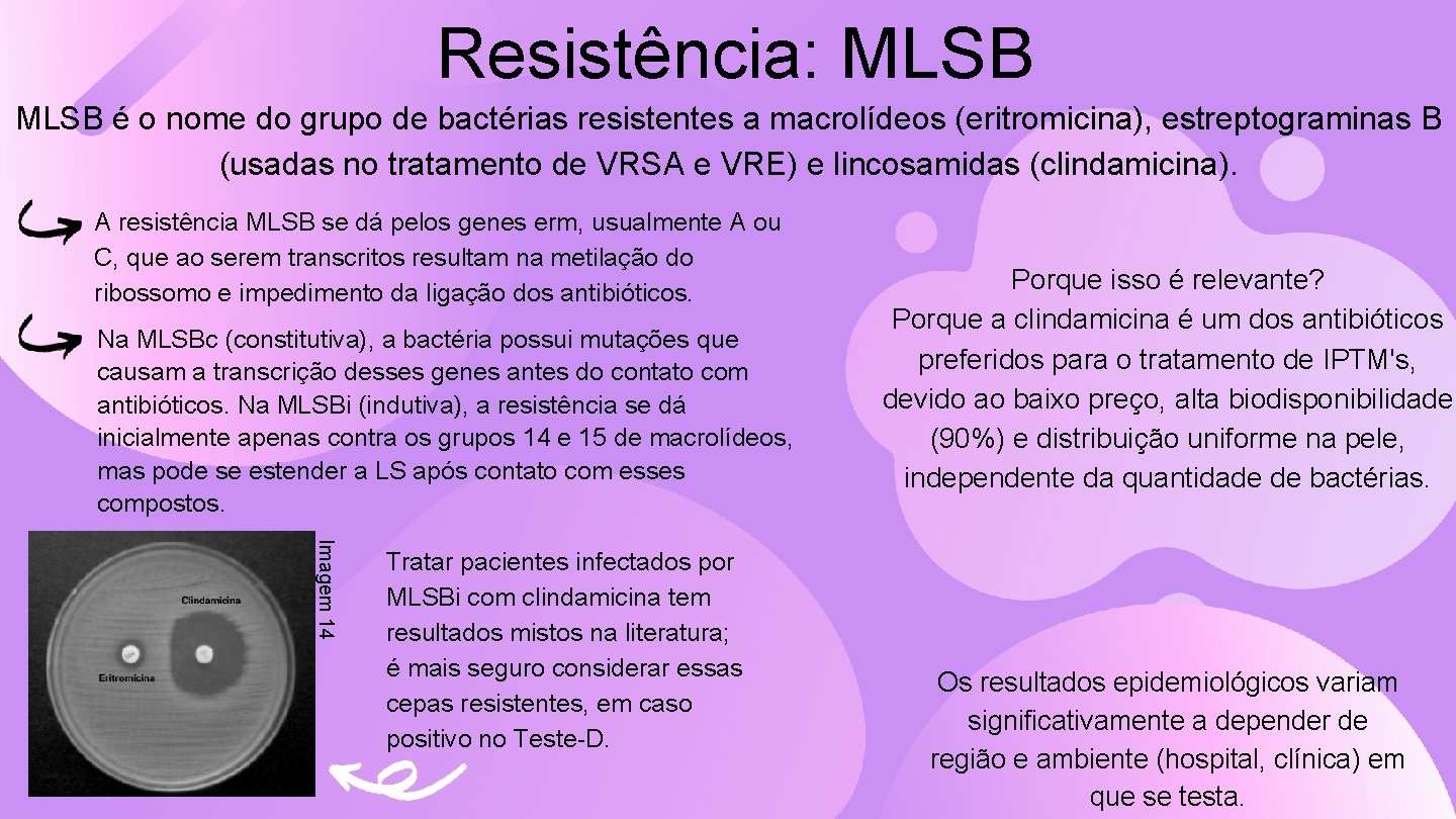 Resistência: MLSB é o nome do grupo de bactérias resistentes a macrolídeos (eritromicina), estreptograminas