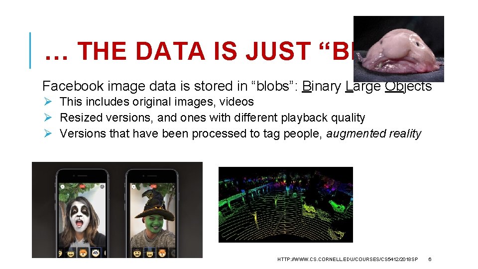 … THE DATA IS JUST “BLOBS” Facebook image data is stored in “blobs”: Binary