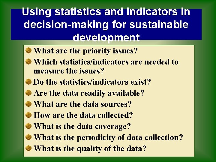Using statistics and indicators in decision-making for sustainable development What are the priority issues?