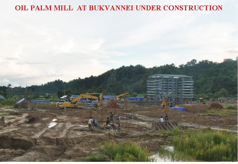 OIL PALM MILL AT BUKVANNEI UNDER CONSTRUCTION 