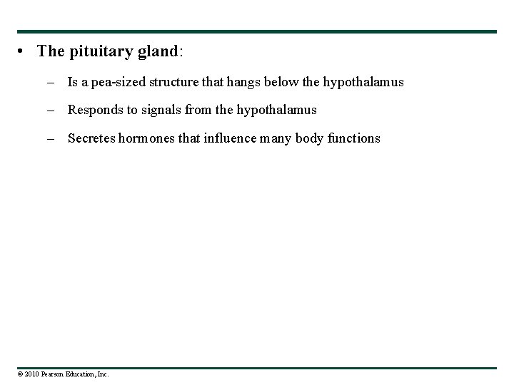  • The pituitary gland: – Is a pea-sized structure that hangs below the