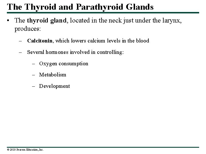 The Thyroid and Parathyroid Glands • The thyroid gland, located in the neck just