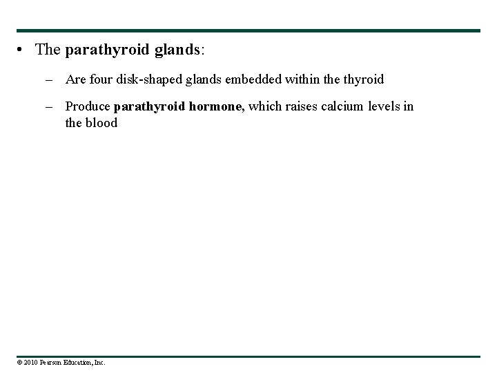  • The parathyroid glands: – Are four disk-shaped glands embedded within the thyroid