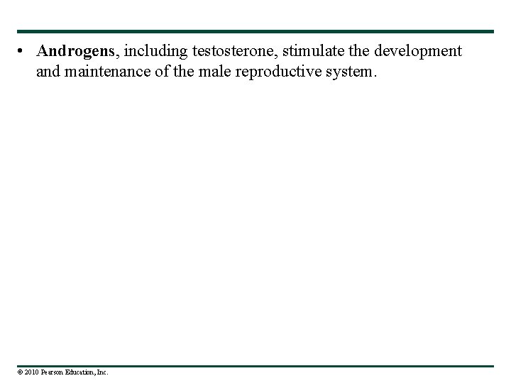  • Androgens, including testosterone, stimulate the development and maintenance of the male reproductive