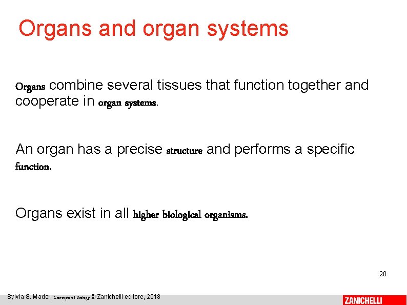 Organs and organ systems Organs combine several tissues that function together and cooperate in