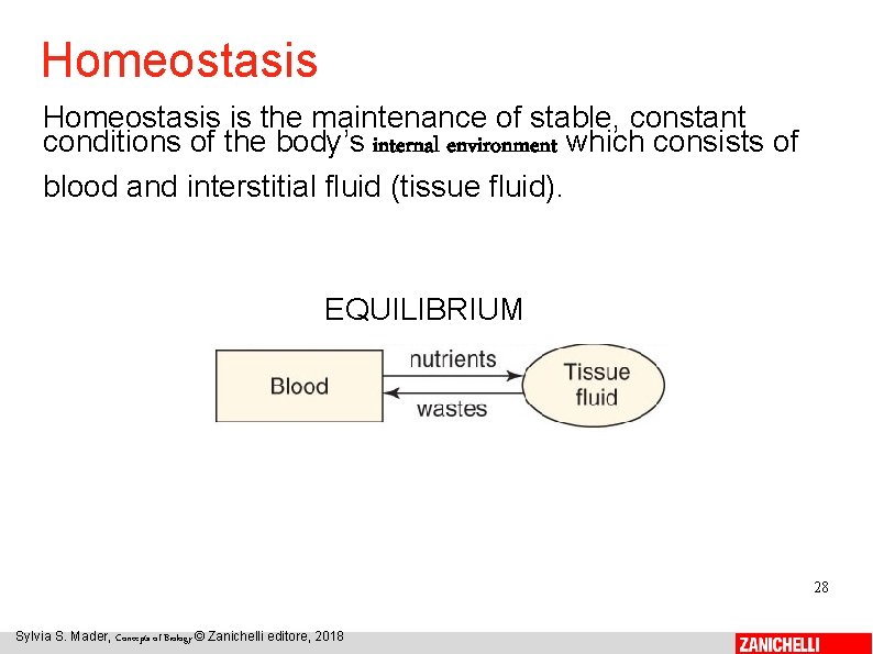 Homeostasis is the maintenance of stable, constant conditions of the body’s internal environment which
