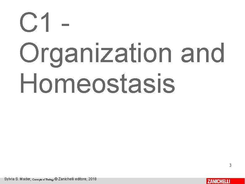 C 1 Organization and Homeostasis 3 Sylvia S. Mader, Concepts of Biology © Zanichelli