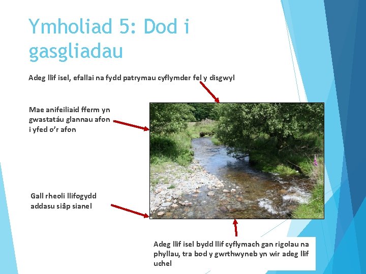 Ymholiad 5: Dod i gasgliadau Adeg llif isel, efallai na fydd patrymau cyflymder fel