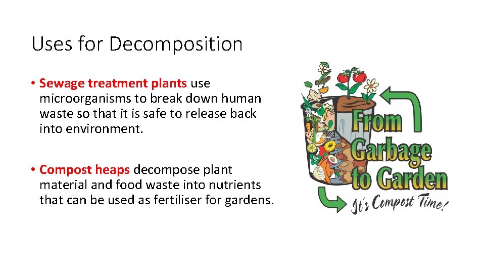 Uses for Decomposition • Sewage treatment plants use microorganisms to break down human waste