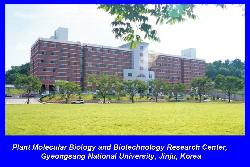 Plant Molecular Biology and Biotechnology Research Center, Gyeongsang National University, Jinju, Korea 