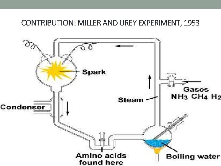 CONTRIBUTION: MILLER AND UREY EXPERIMENT, 1953 