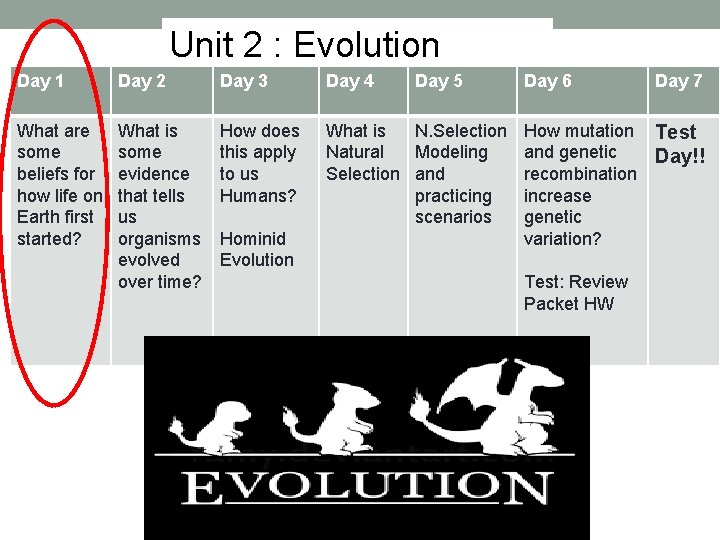 Unit 2 : Evolution Day 1 Day 2 Day 3 Day 4 What are