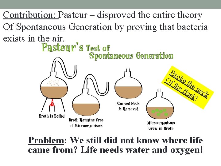 Contribution: Pasteur – disproved the entire theory Of Spontaneous Generation by proving that bacteria