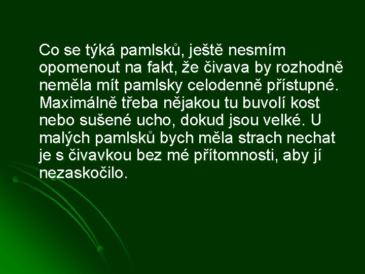 Co se týká pamlsků, ještě nesmím opomenout na fakt, že čivava by rozhodně neměla