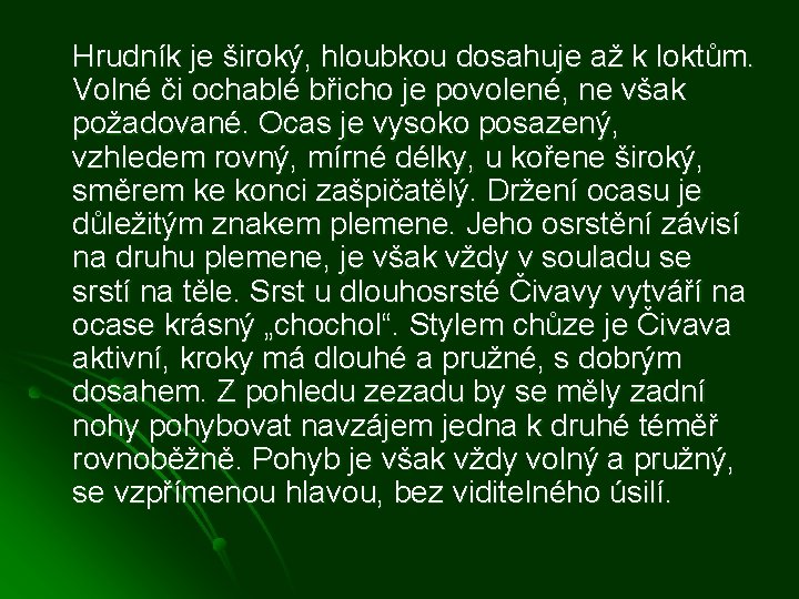 Hrudník je široký, hloubkou dosahuje až k loktům. Volné či ochablé břicho je povolené,