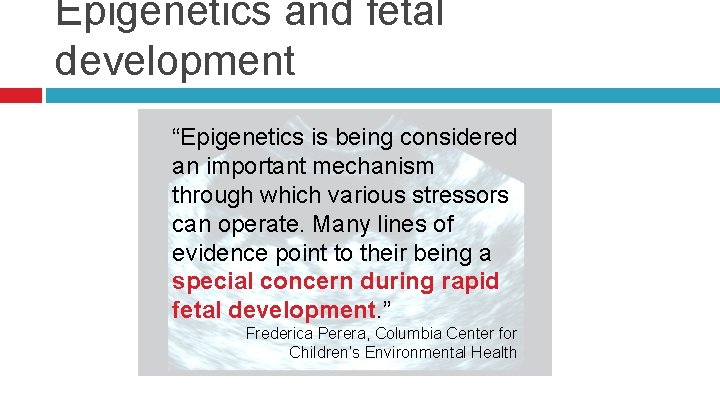 Epigenetics and fetal development “Epigenetics is being considered an important mechanism through which various