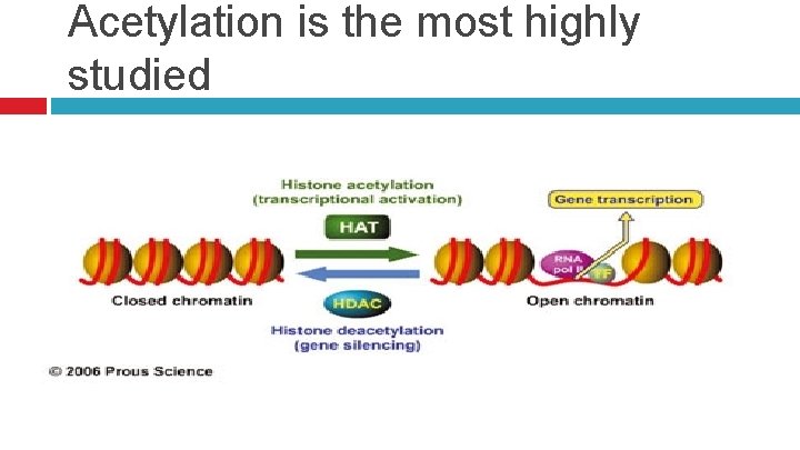 Acetylation is the most highly studied 42 