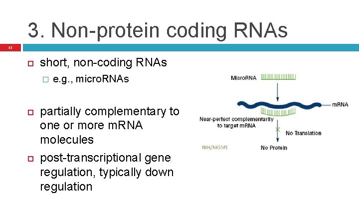 3. Non-protein coding RNAs 43 short, non-coding RNAs � e. g. , micro. RNAs