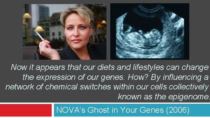 Now it appears that our diets and lifestyles can change the expression of our