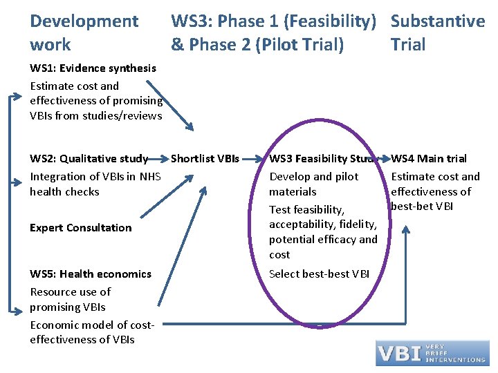 Development work WS 3: Phase 1 (Feasibility) Substantive & Phase 2 (Pilot Trial) Trial