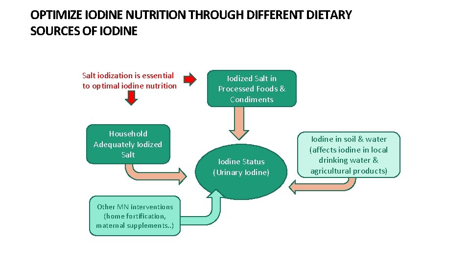 OPTIMIZE IODINE NUTRITION THROUGH DIFFERENT DIETARY SOURCES OF IODINE Salt iodization is essential to