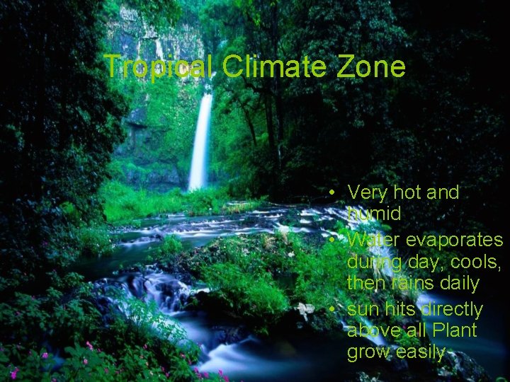 Weather Climate By Isabella Tapia and Malachi Machuca