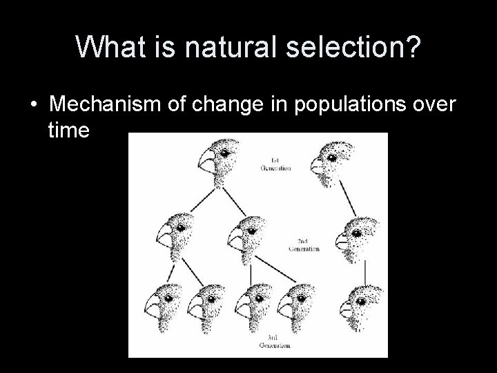 What is natural selection? • Mechanism of change in populations over time 