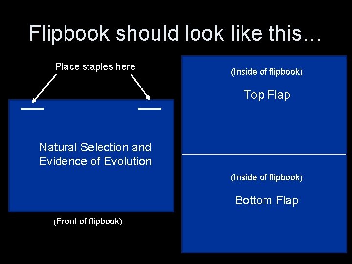 Flipbook should look like this… Place staples here (Inside of flipbook) Top Flap Natural