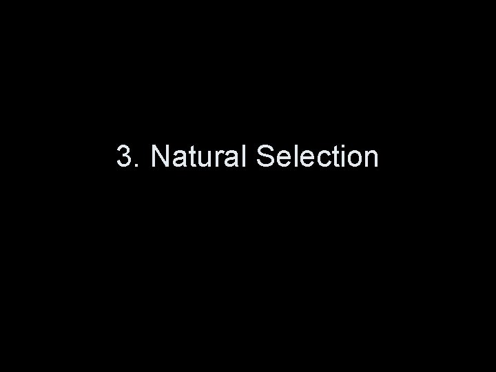 3. Natural Selection 