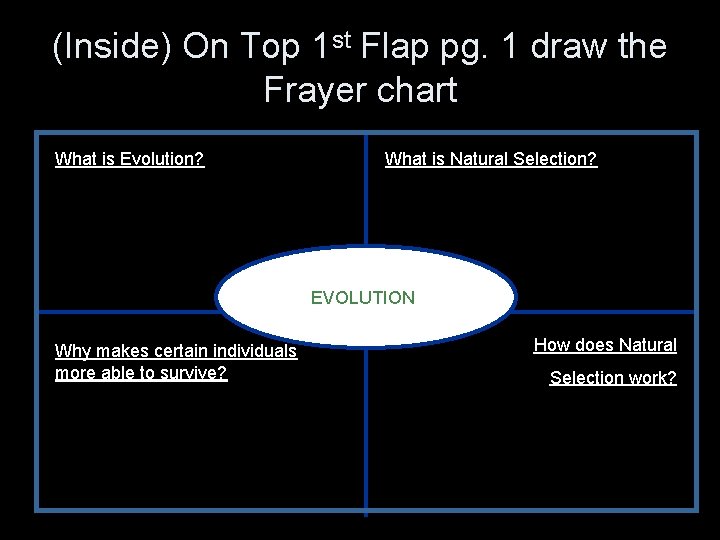 (Inside) On Top 1 st Flap pg. 1 draw the Frayer chart What is