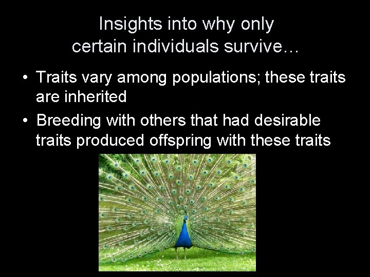 Insights into why only certain individuals survive… • Traits vary among populations; these traits