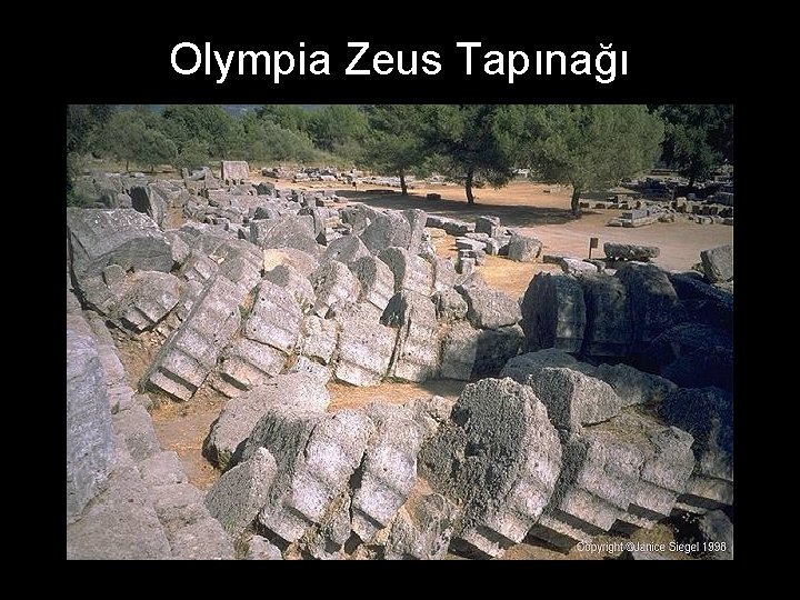 Olympia Zeus Tapınağı 