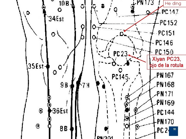 He ding Xiyan PC 23, ojo de la rotula 56 