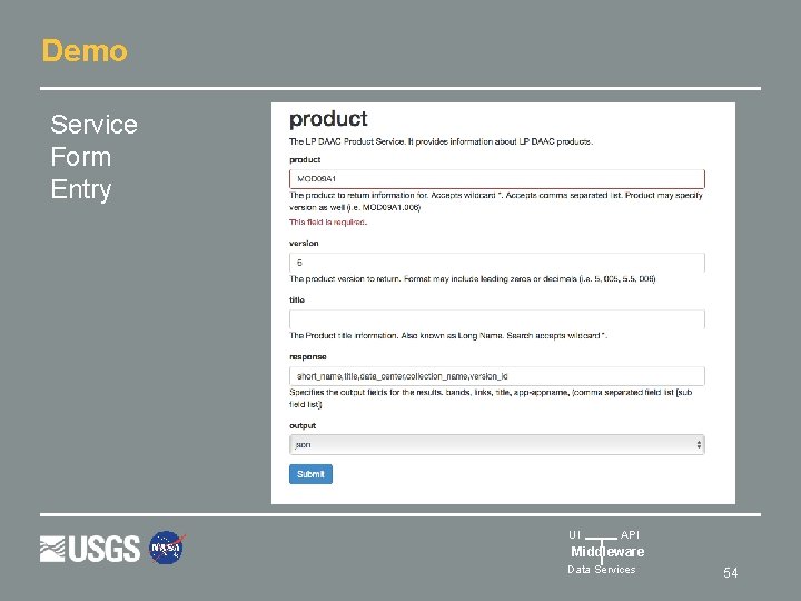 Demo Service Form Entry UI API Middleware Data Services 54 