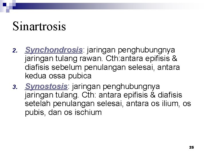 Sinartrosis 2. 3. Synchondrosis: jaringan penghubungnya jaringan tulang rawan. Cth: antara epifisis & diafisis