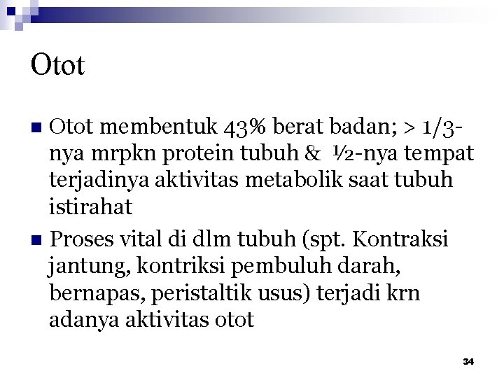 Otot membentuk 43% berat badan; > 1/3 nya mrpkn protein tubuh & ½-nya tempat