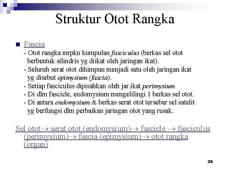 Struktur Otot Rangka n Fascia - Otot rangka mrpkn kumpulan fasciculus (berkas sel otot