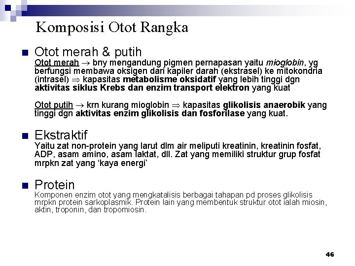 Komposisi Otot Rangka n Otot merah & putih Otot merah bny mengandung pigmen pernapasan