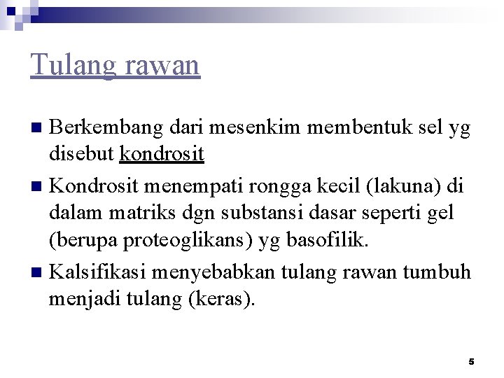 Tulang rawan Berkembang dari mesenkim membentuk sel yg disebut kondrosit n Kondrosit menempati rongga