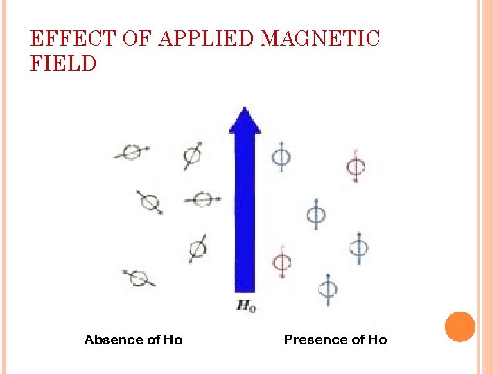 EFFECT OF APPLIED MAGNETIC FIELD Absence of Ho Presence of Ho 