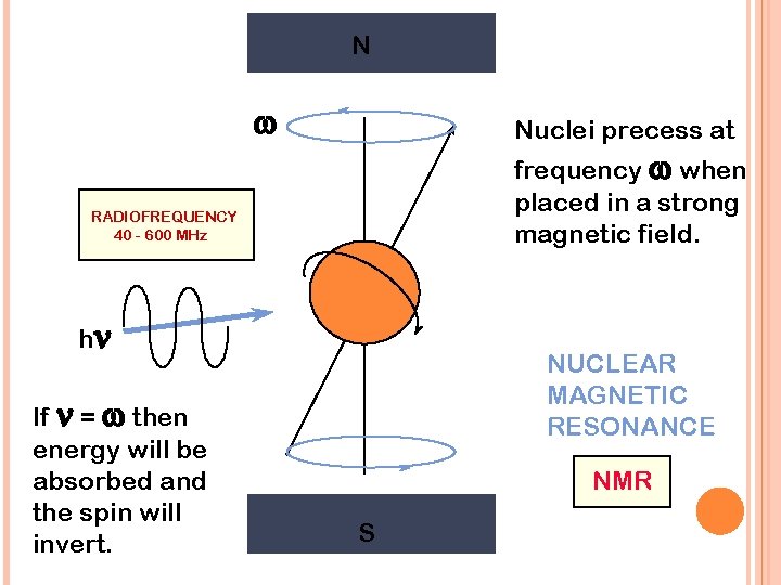 N w Nuclei precess at frequency w when placed in a strong magnetic field.