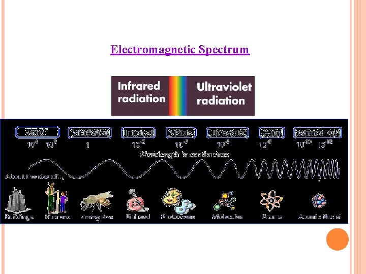 Electromagnetic Spectrum 
