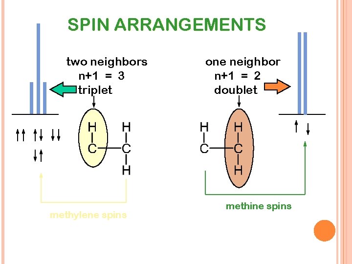 SPIN ARRANGEMENTS two neighbors n+1 = 3 triplet methylene spins one neighbor n+1 =