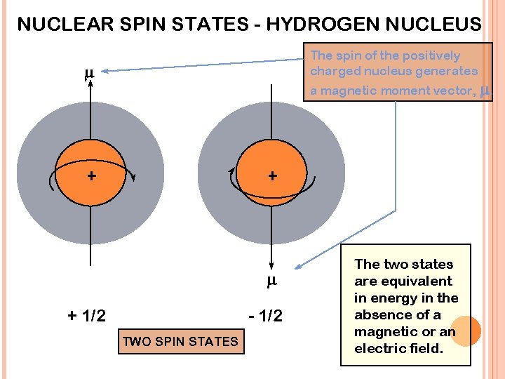 NUCLEAR SPIN STATES - HYDROGEN NUCLEUS The spin of the positively charged nucleus generates