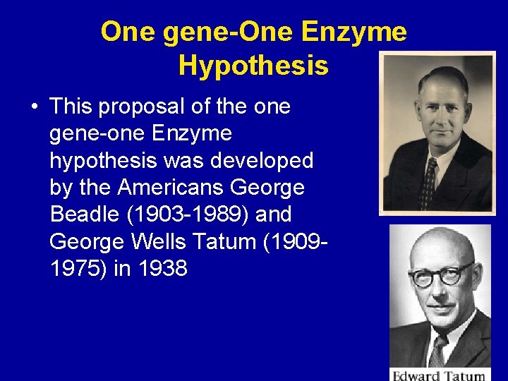 One gene-One Enzyme Hypothesis • This proposal of the one gene-one Enzyme hypothesis was