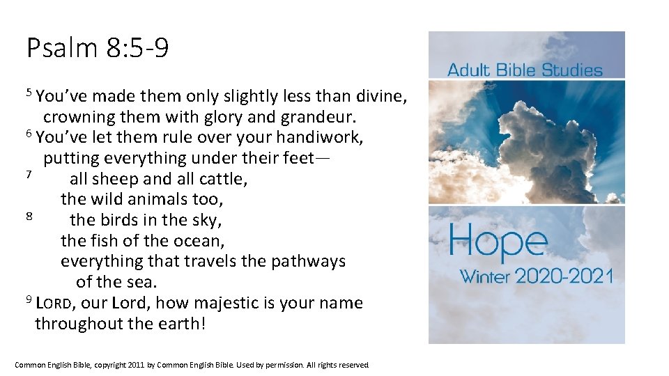Psalm 8: 5 -9 5 You’ve made them only slightly less than divine, crowning