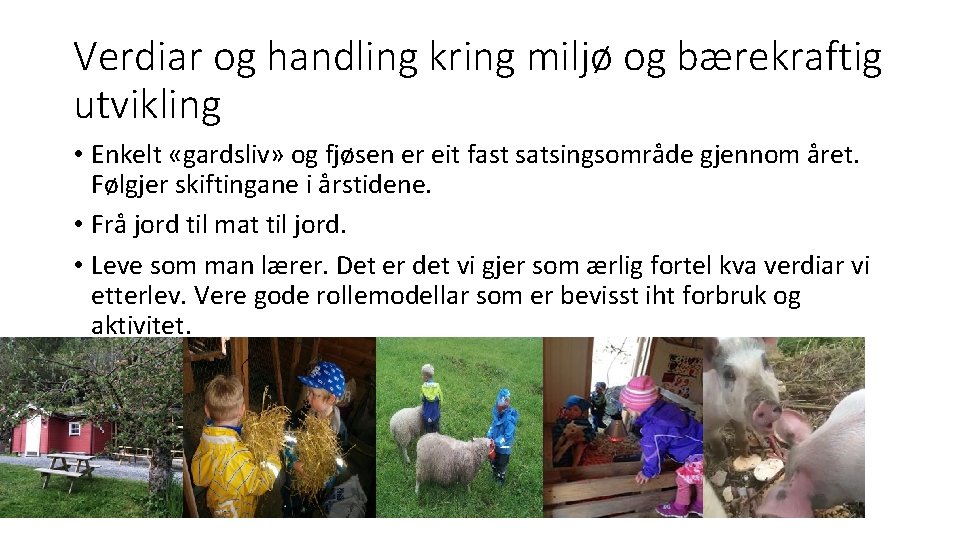 Verdiar og handling kring miljø og bærekraftig utvikling • Enkelt «gardsliv» og fjøsen er