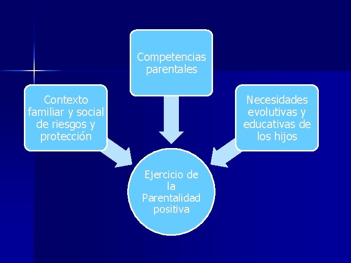 Competencias parentales Contexto familiar y social de riesgos y protección Necesidades evolutivas y educativas