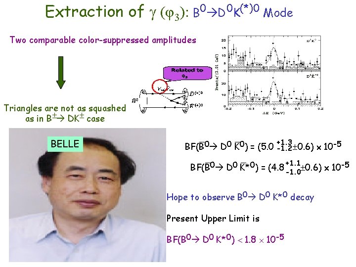 Extraction of (φ3): B 0 D 0 K(*)0 Mode Two comparable color-suppressed amplitudes Triangles