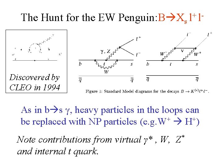 The Hunt for the EW Penguin: B Xs l+ l- Discovered by CLEO in